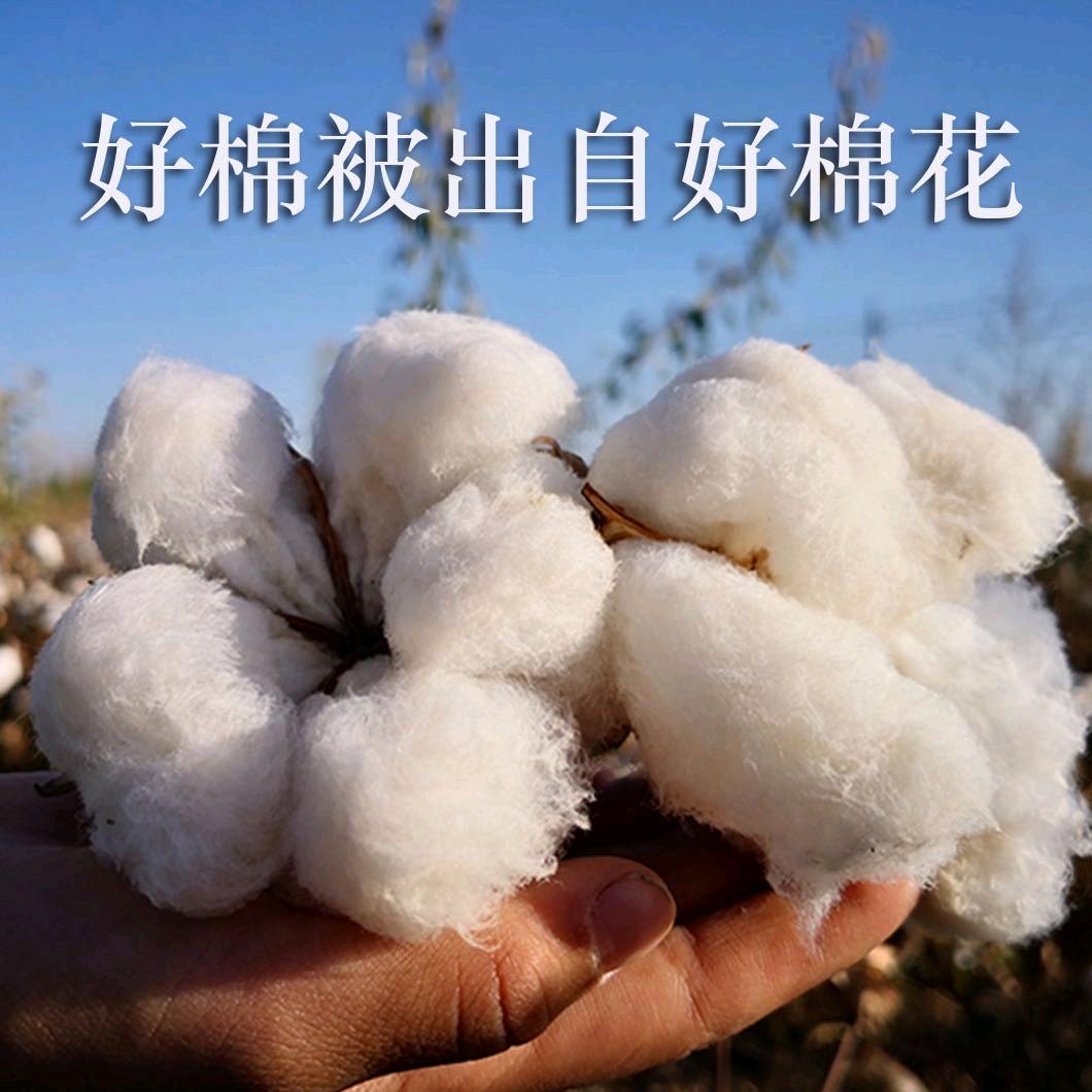 新疆小小希千层棉被店