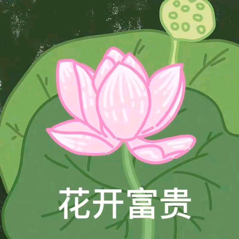我叫王富贵(戒足浴版)