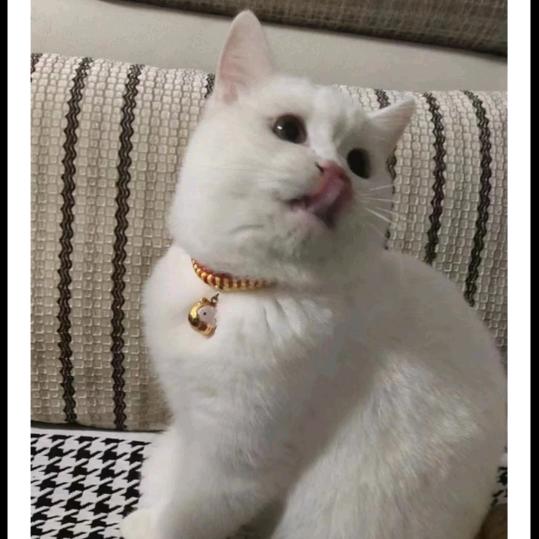 春风来