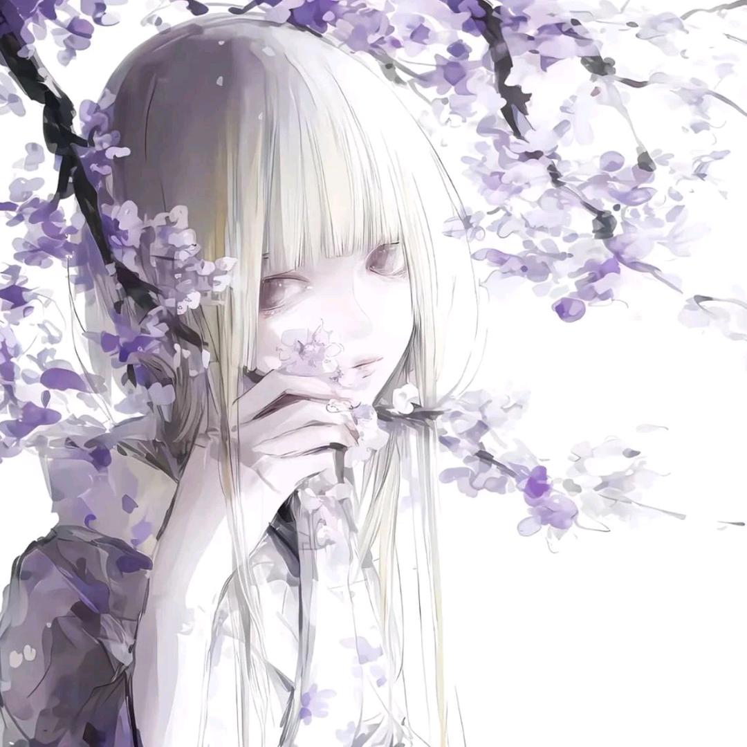 L—猫眼
