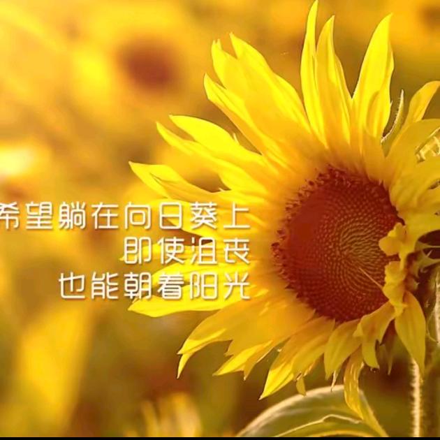 🎖️🏅🎖️🦋🍊🍓