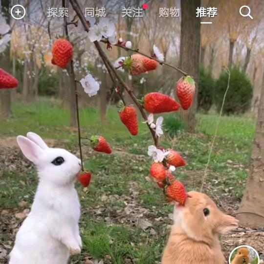 忘🌷记🌹一🌷切🌹