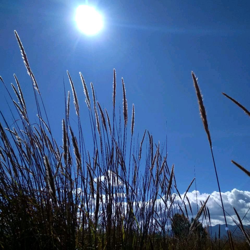 洗毛巾🌲⁷¹⁹