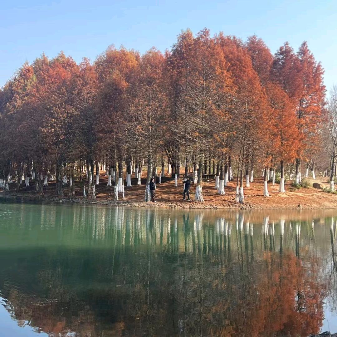 “一束光🇨🇳”