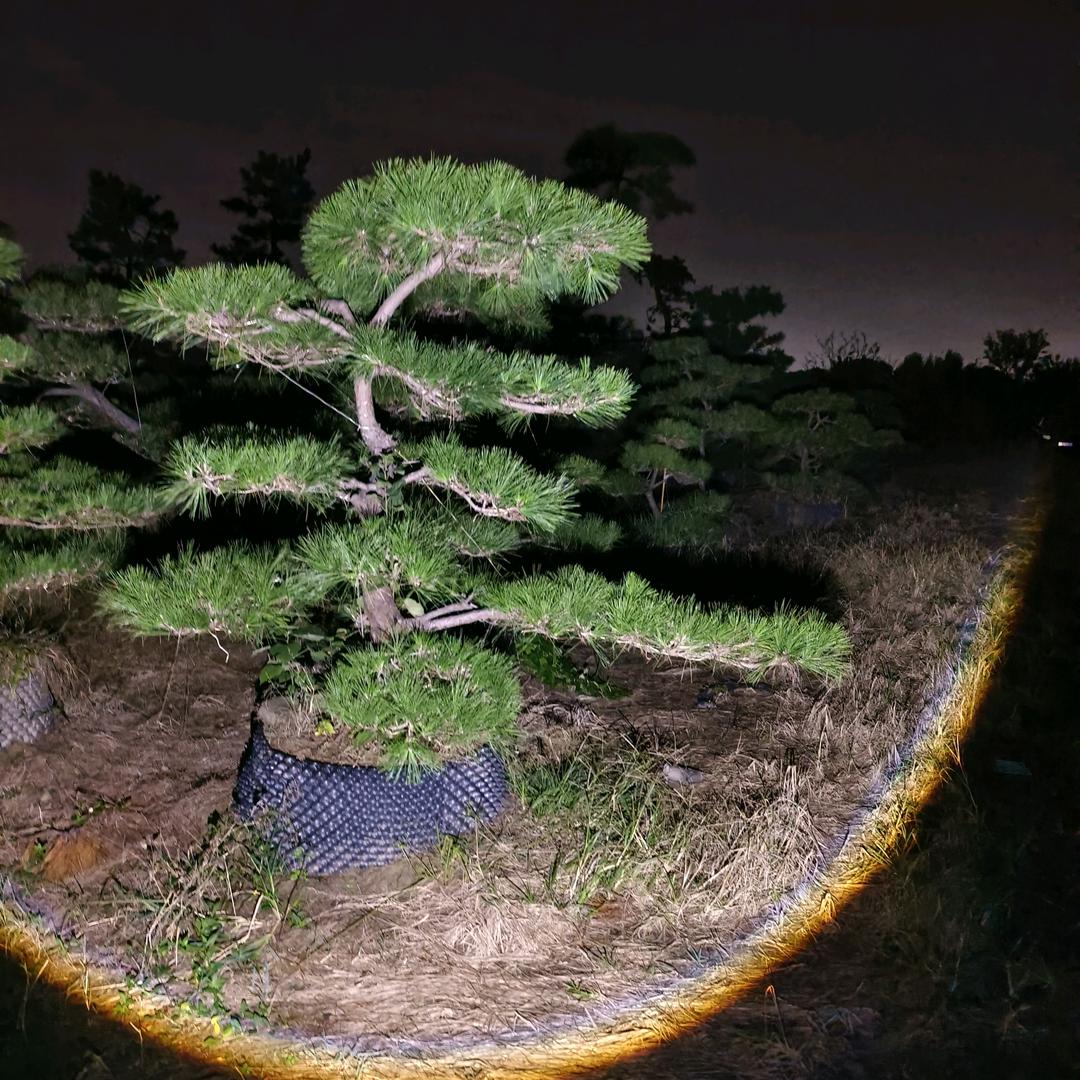 乐萤花卉园艺精选铺子