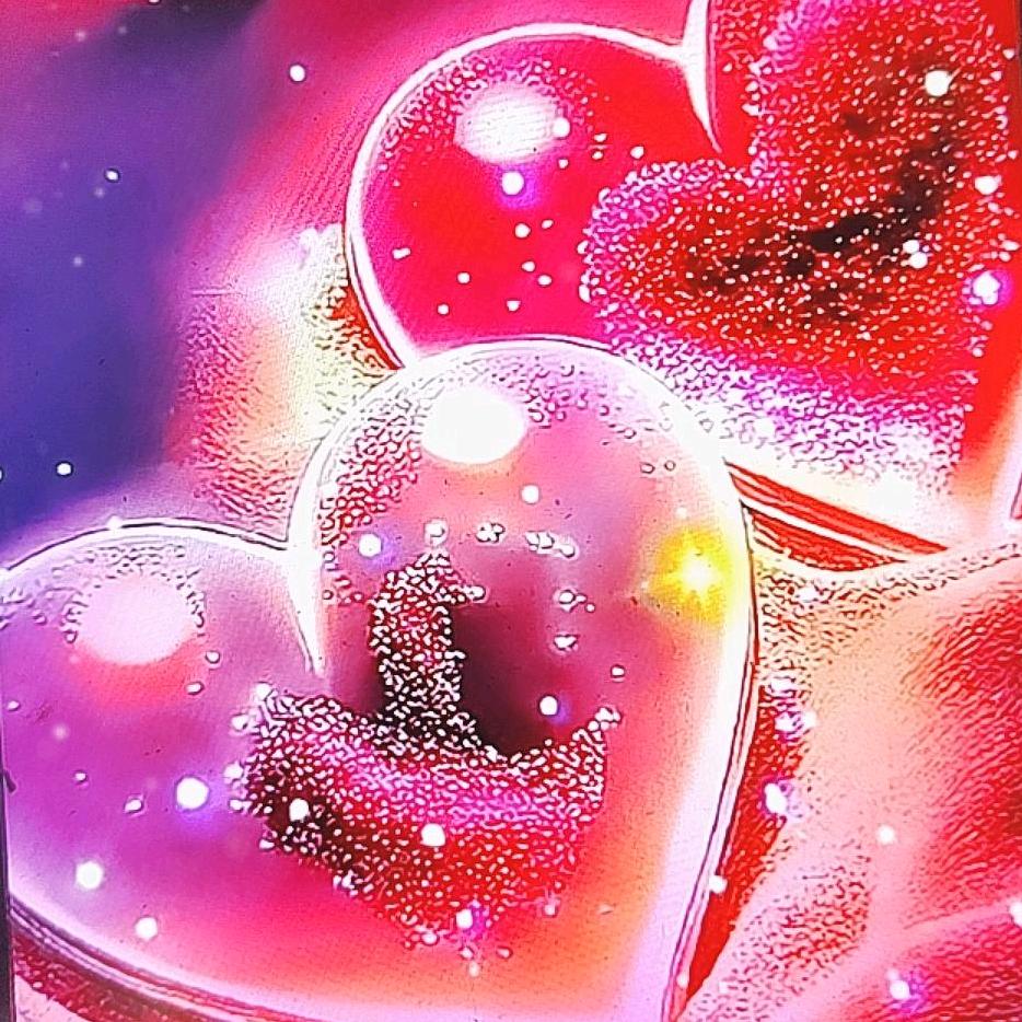 兔兔🌺🌺🌺🌺