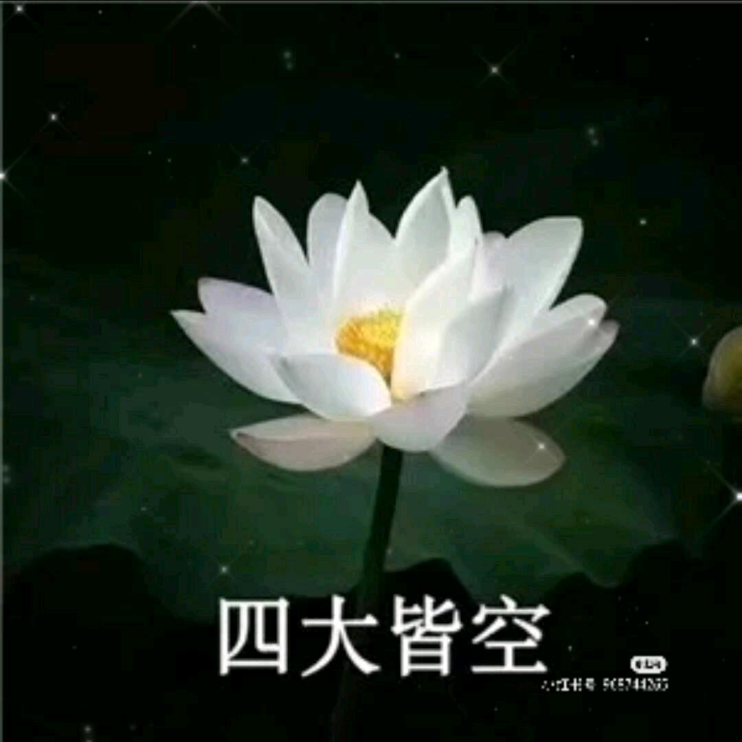 卢有志