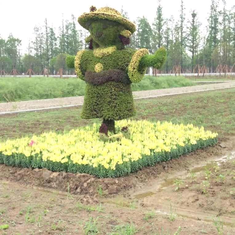 又又红