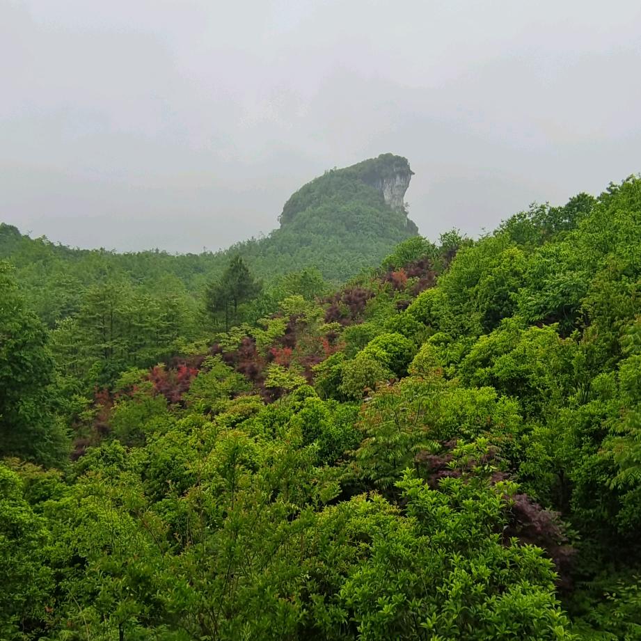 费心