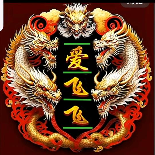 爱飞飞