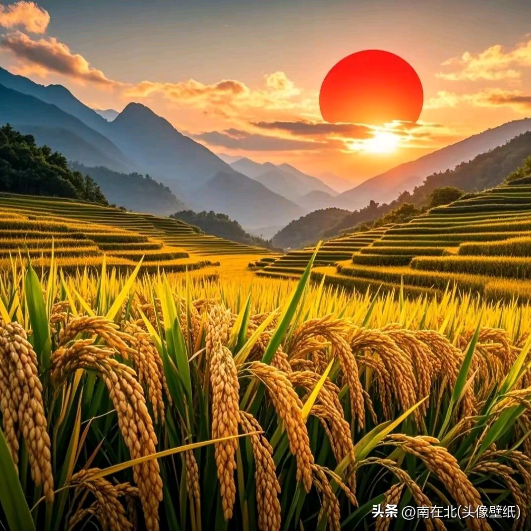 你在我心