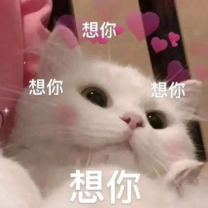 谷雨
