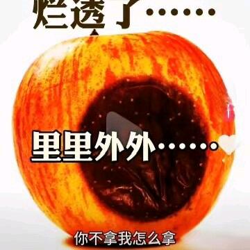 ✺◟(∗❛ั成ᴗ哥❛ั∗)◞✺