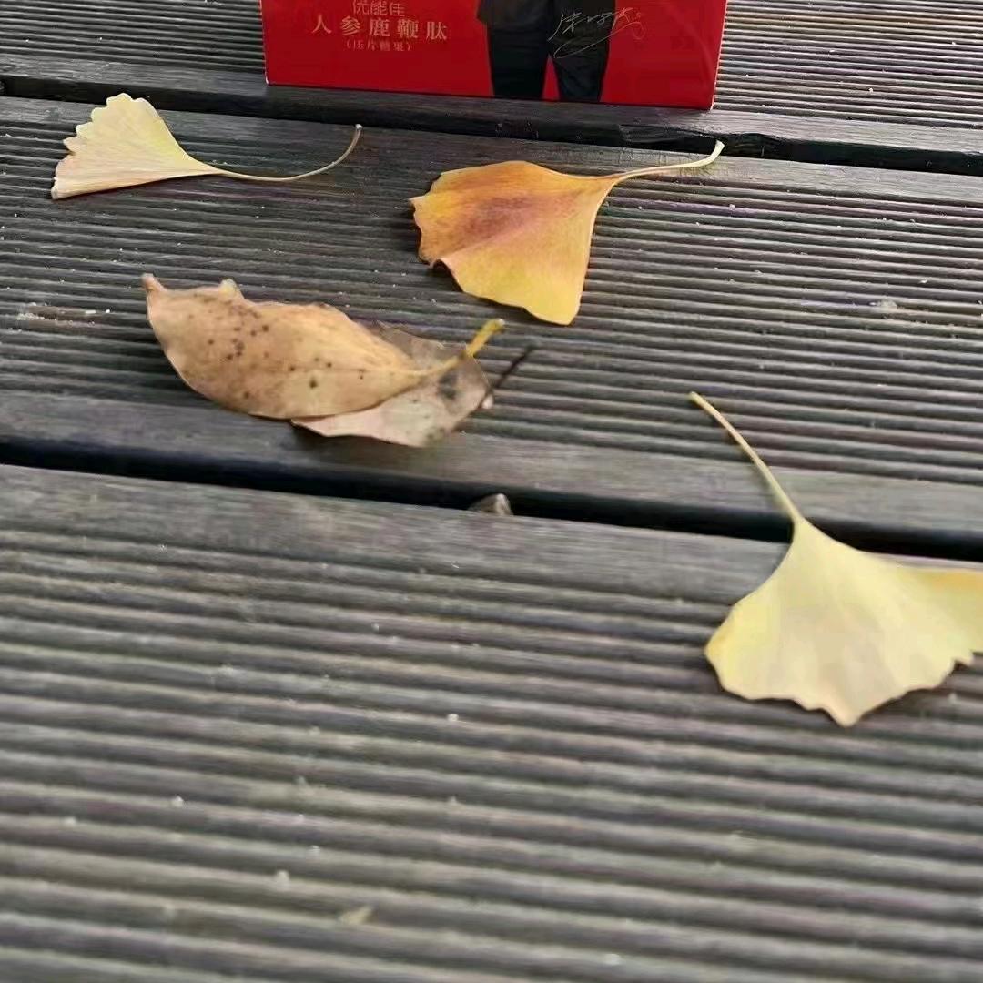 壹然