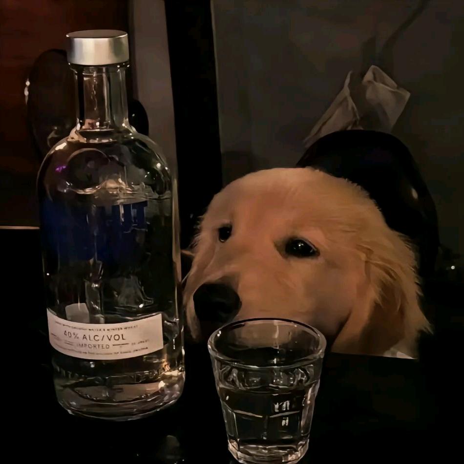 热血神剑~德华