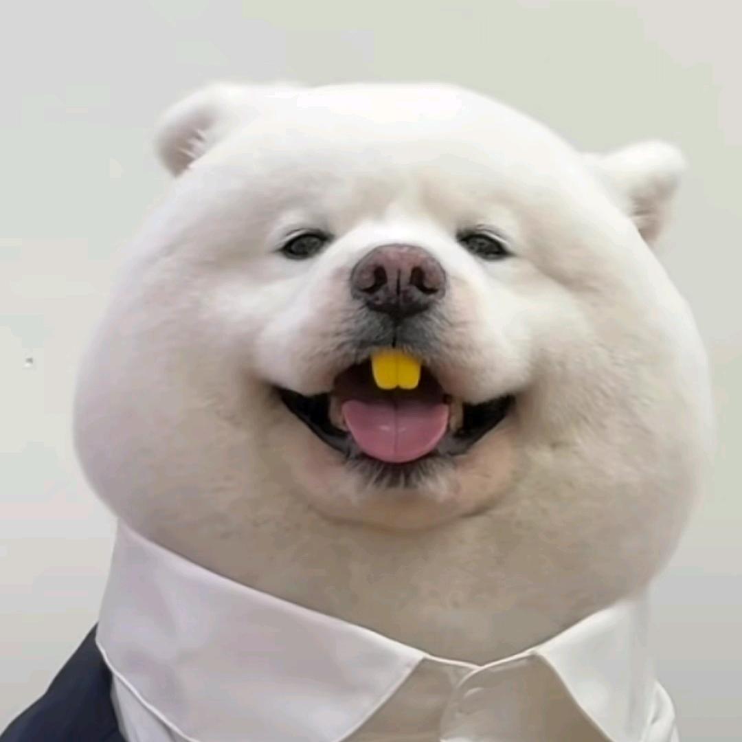 皮皮（三角洲行动）