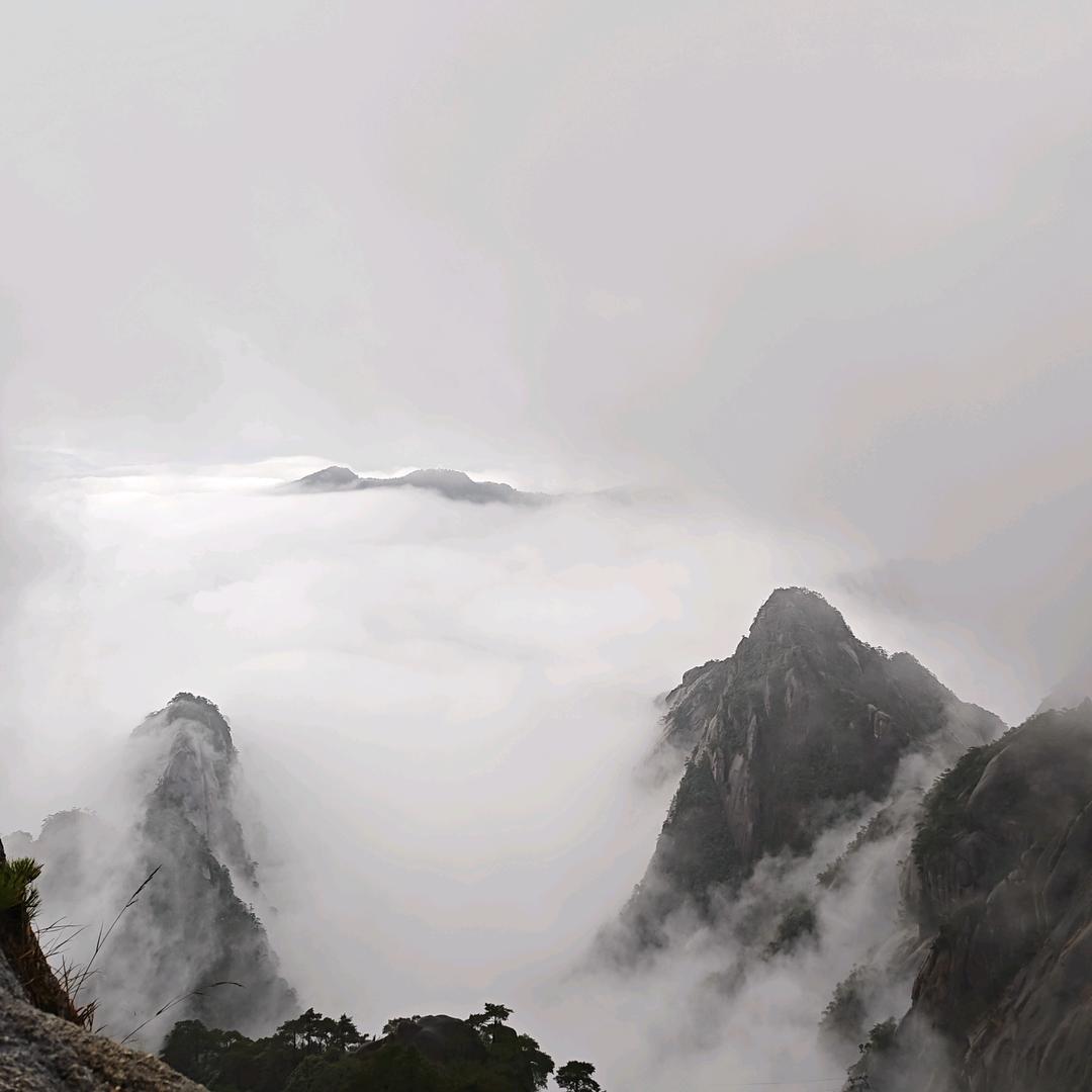 农夫一