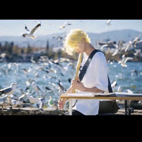 滑雪的猫猫（去看过王源南昌演唱会版）