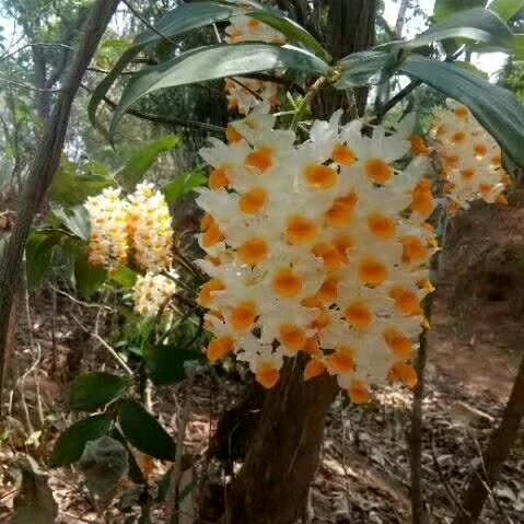 漂泊在城市的农村人。