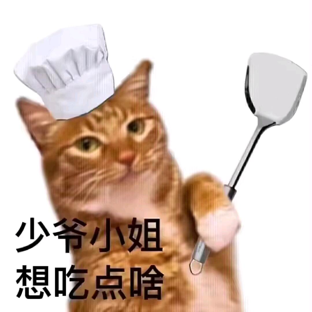 Yc⚡电竞