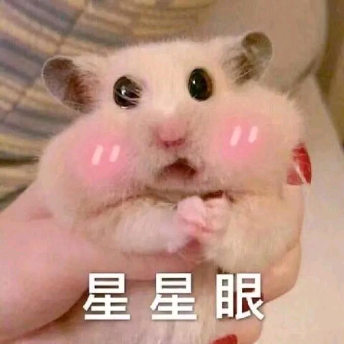 小碧