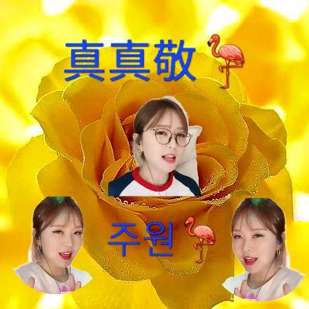 🦩주원敬🦩