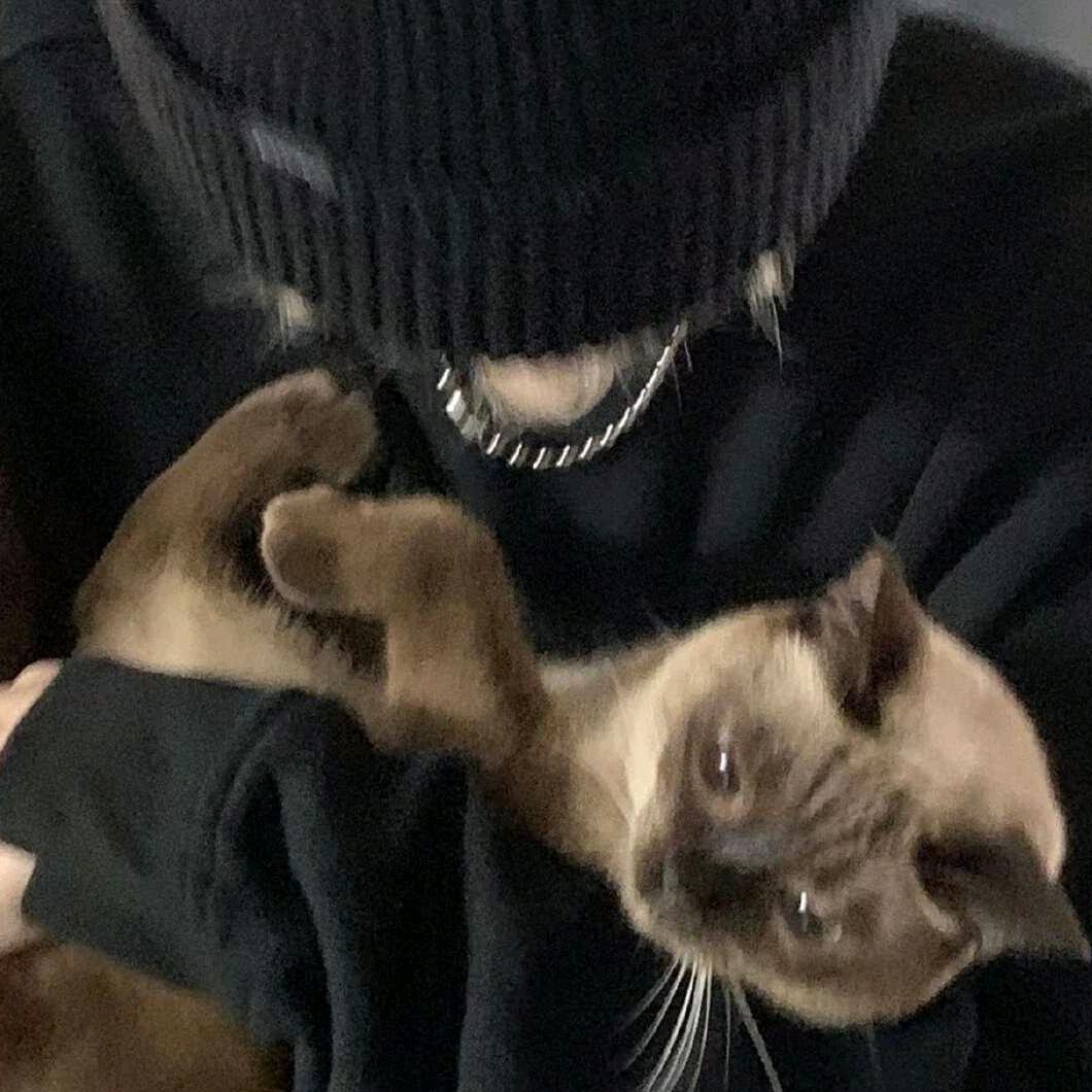 跳伞（地铁逃生）