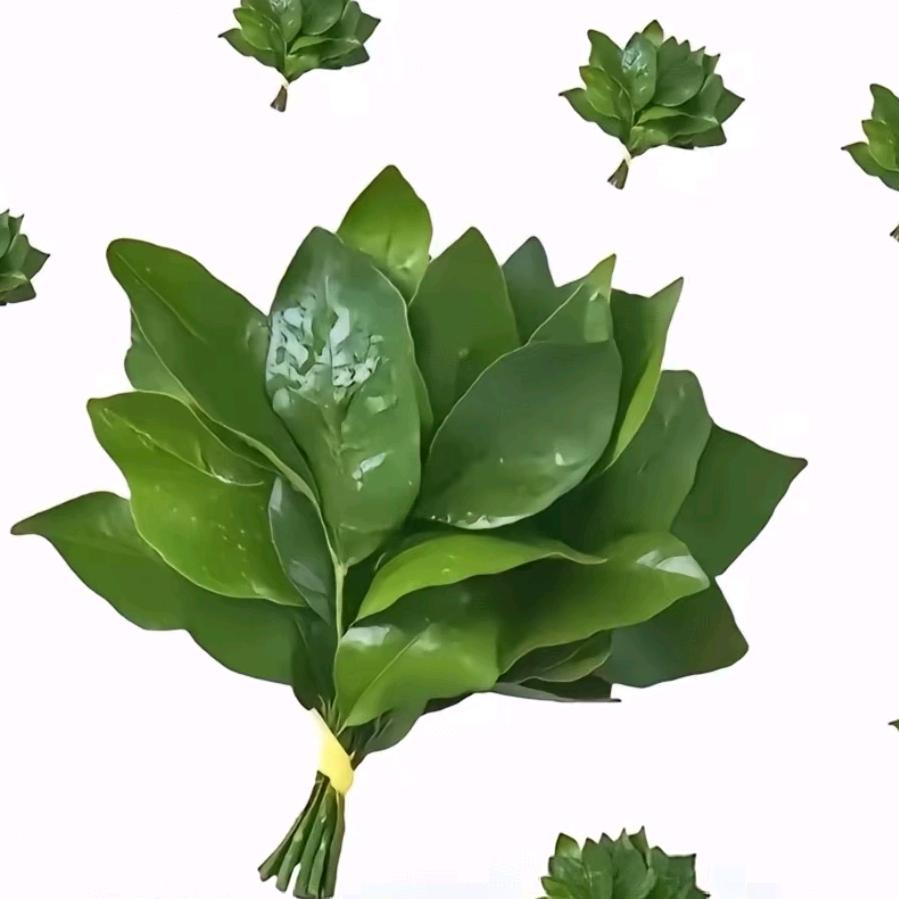 林.夕