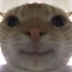 皮燕狂炫螺蛳粉