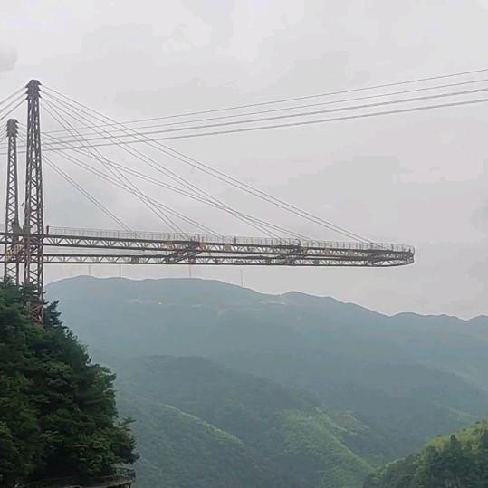 绍花瓶
