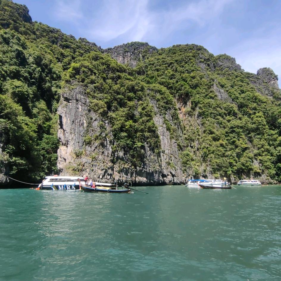 瓜主粉丝真荒唐 硬把瓜史当成糖🍈