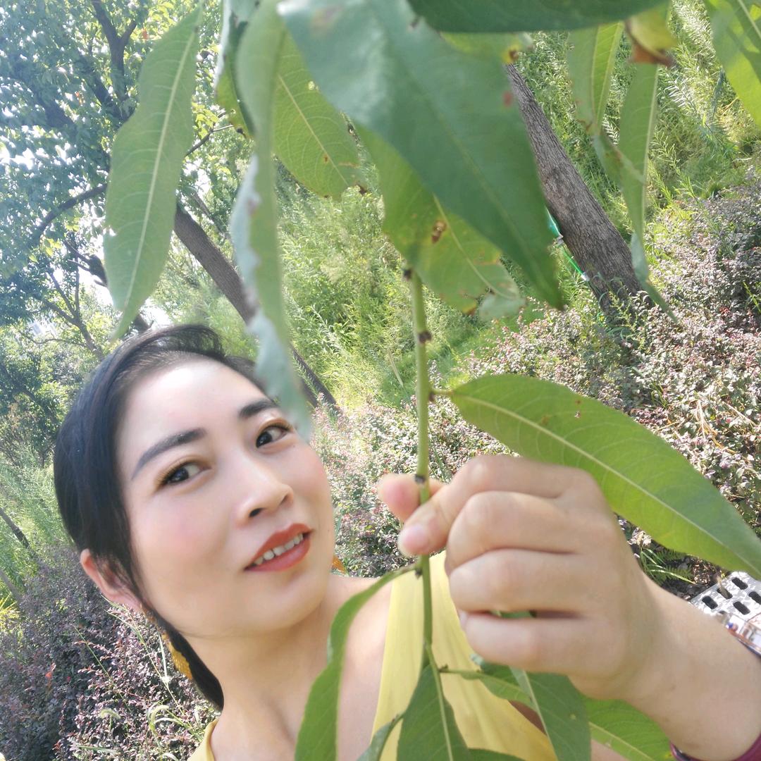好美啊
