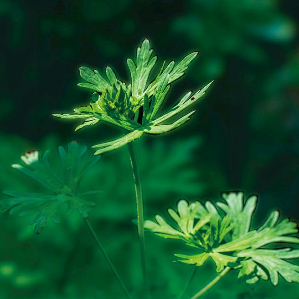 元绒棉锦华定制家纺官方号