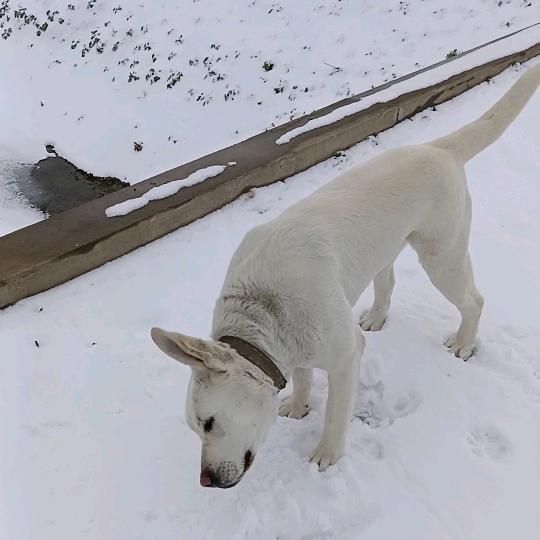 皖北废品回收站