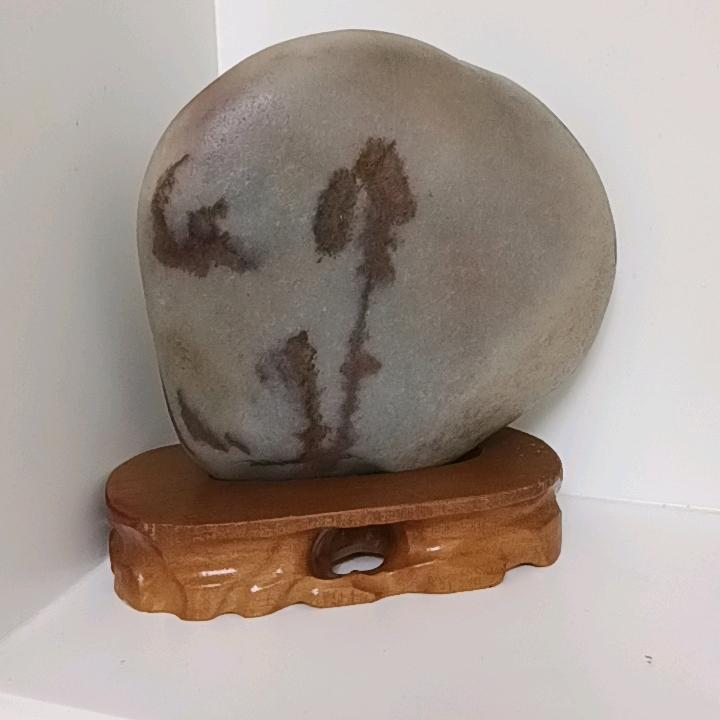 赏石悟道