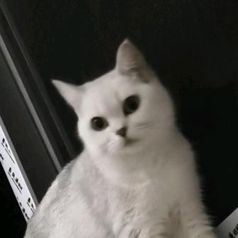 一生快乐