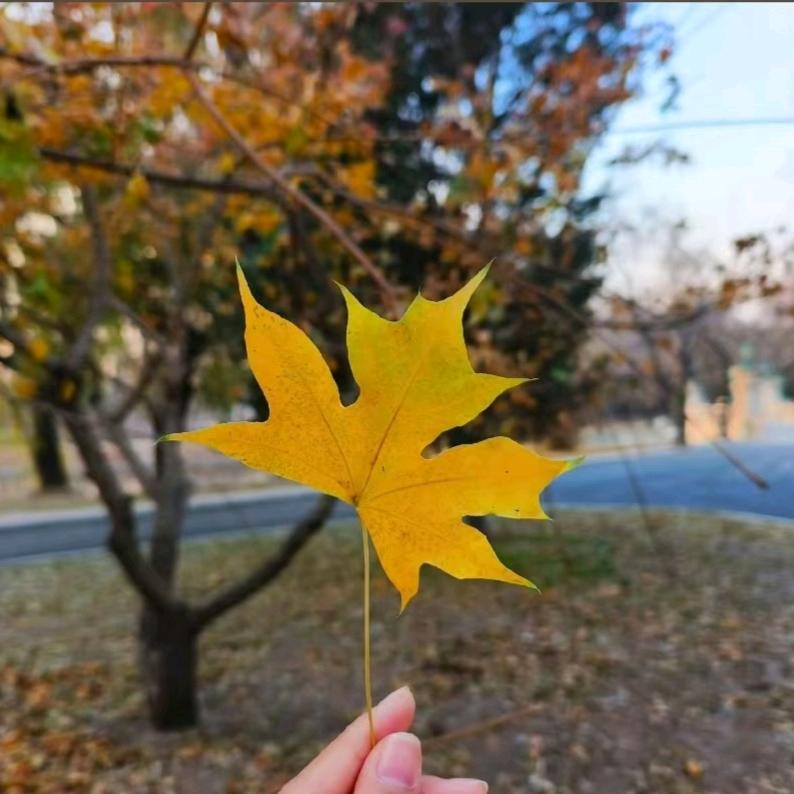 按摩水疗