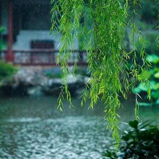 小镇美食家