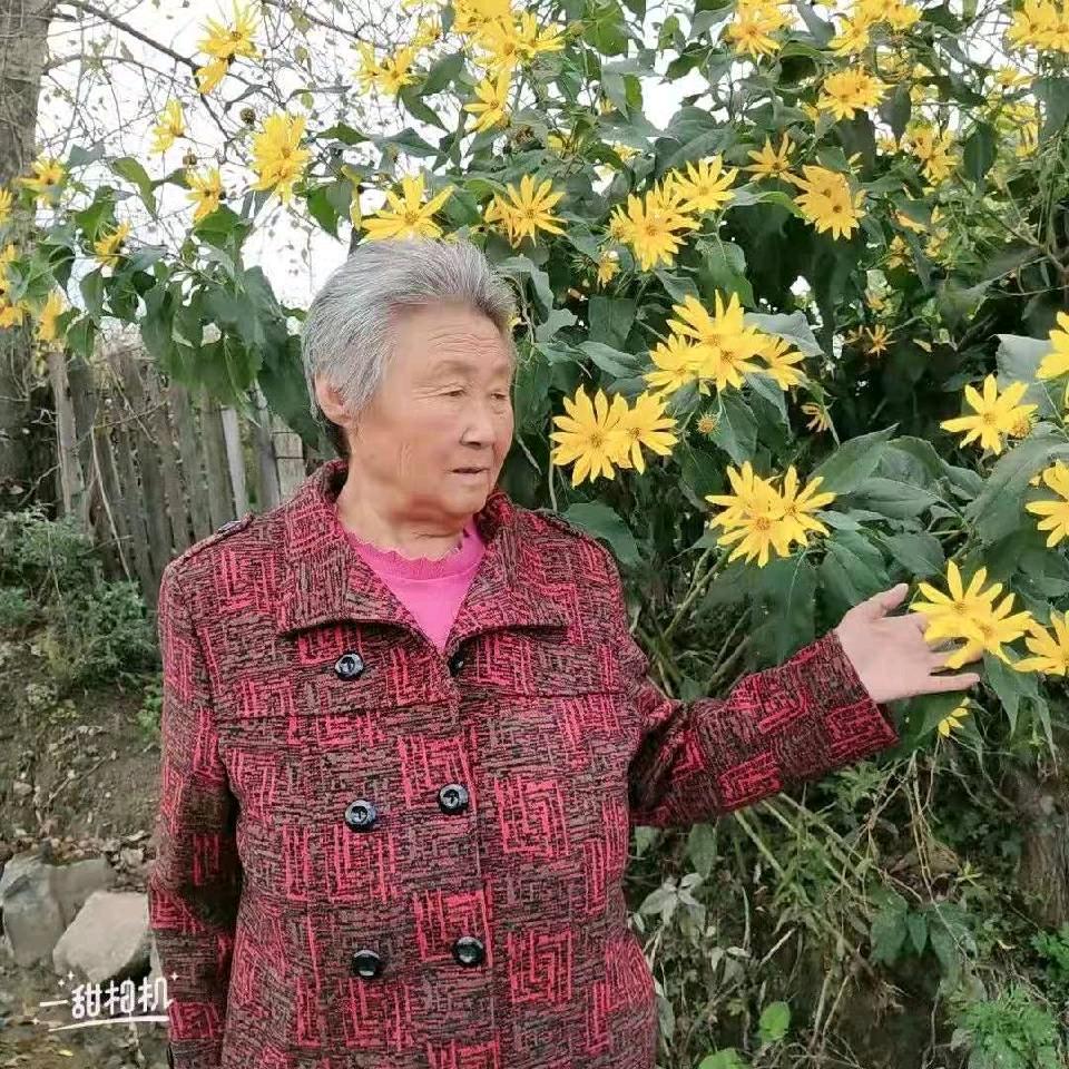 ぺ。﹍|▍纸戈°ゝ头像