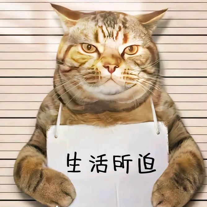 不愿透漏姓氏的丶老金大哥