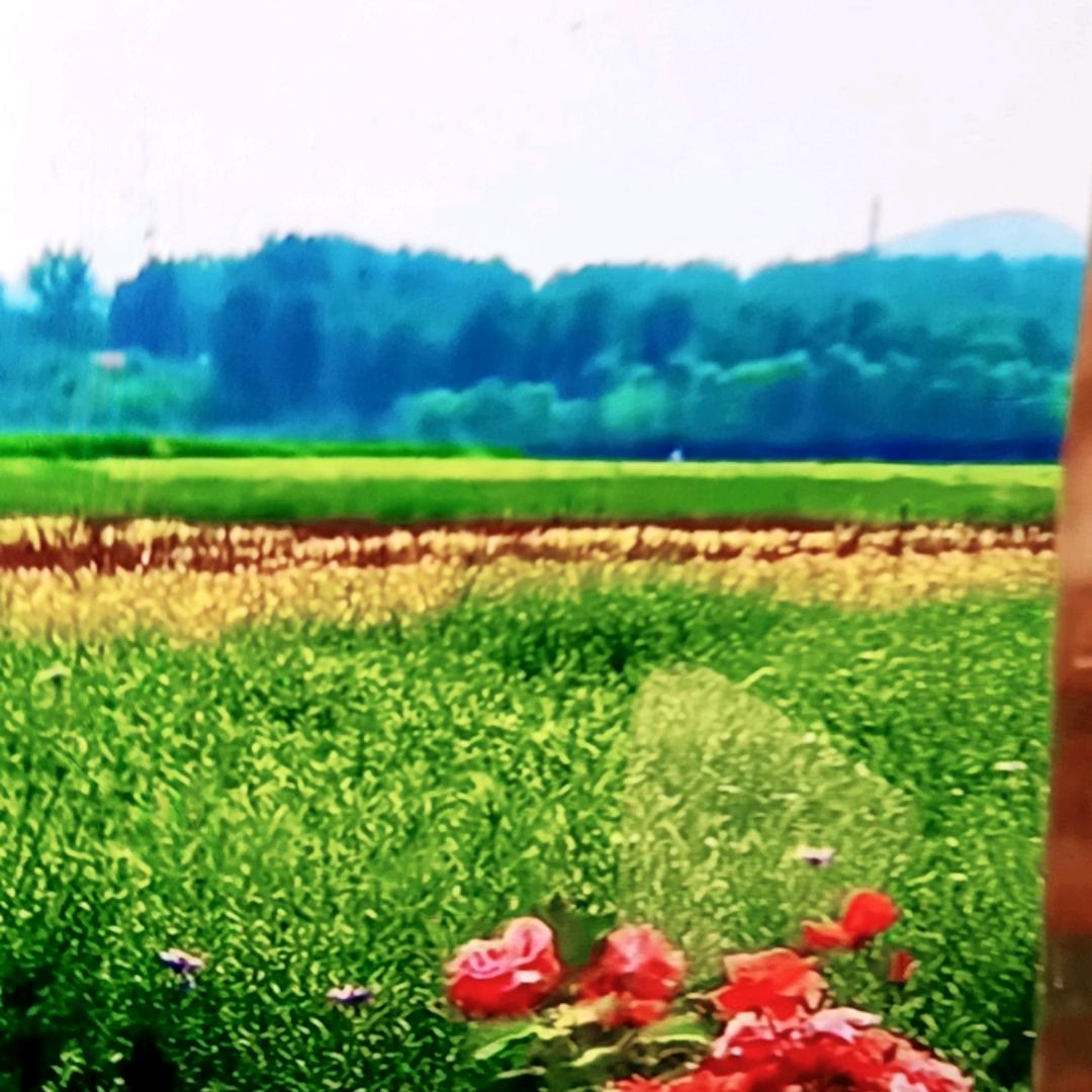 李姐指路