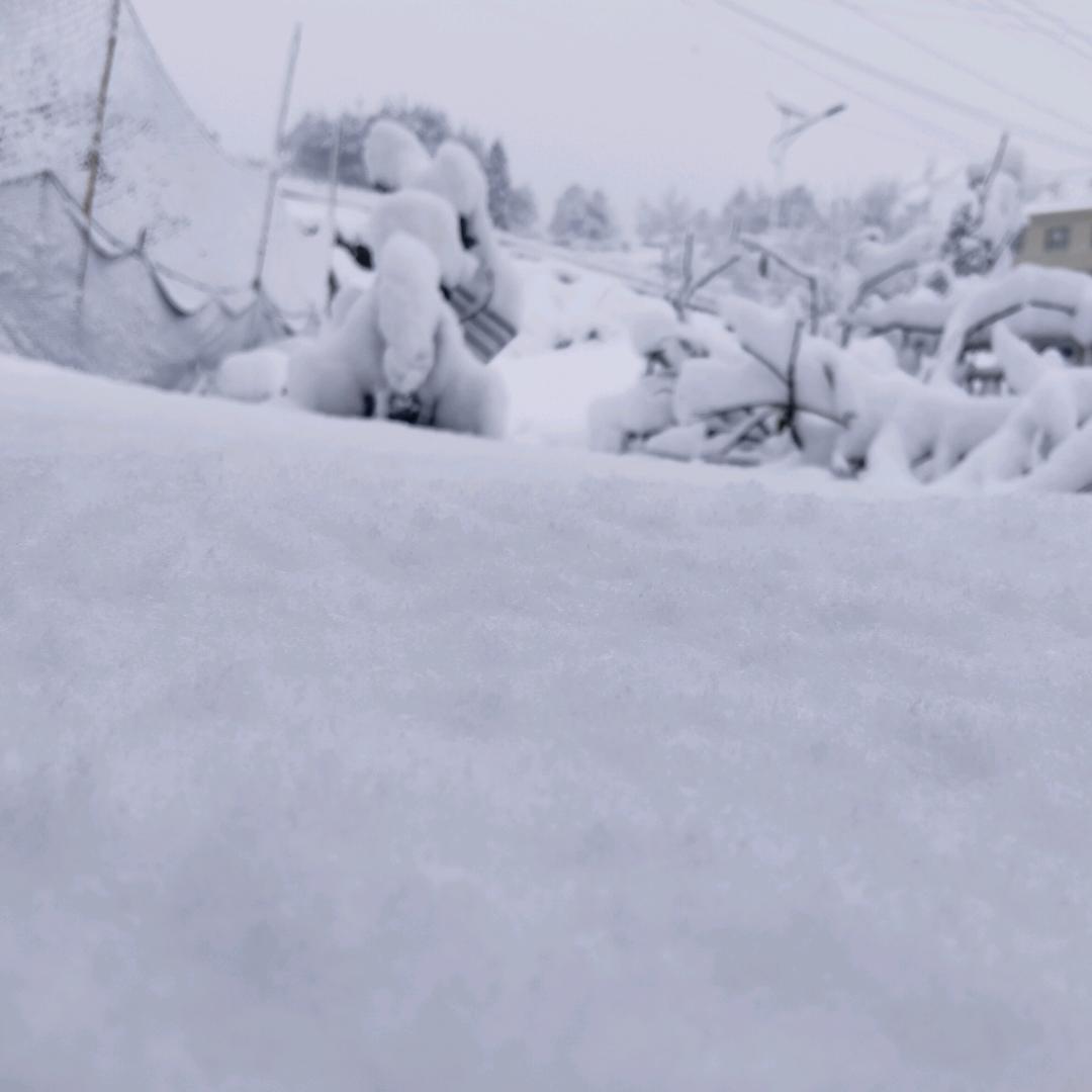 孤独的人是可耻的