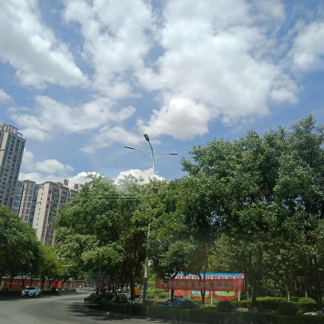 一小只点点