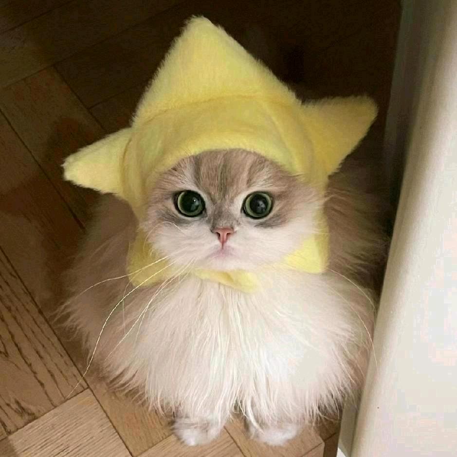 凸爷
