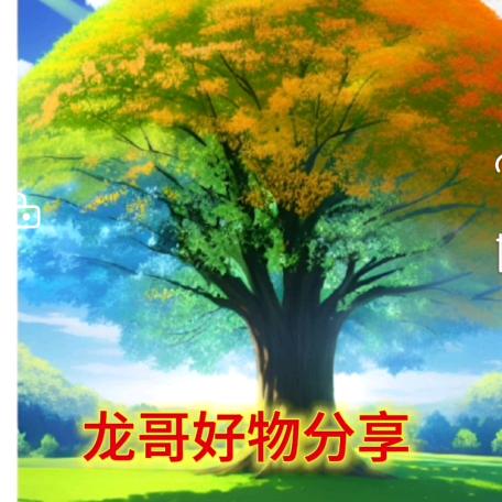 龙哥好物分享