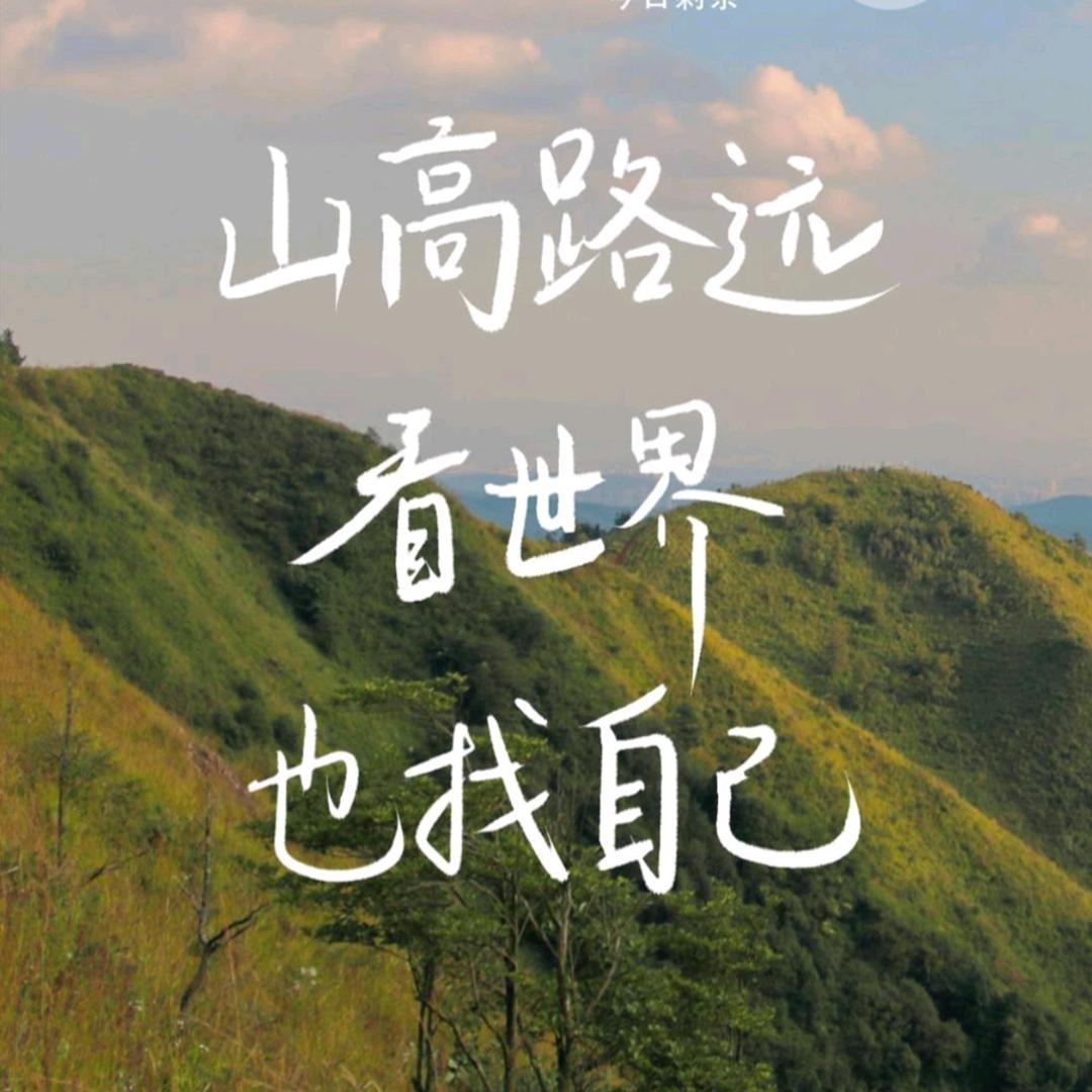 同志