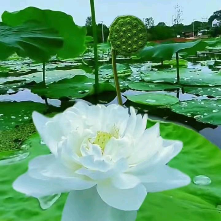 吉运随身