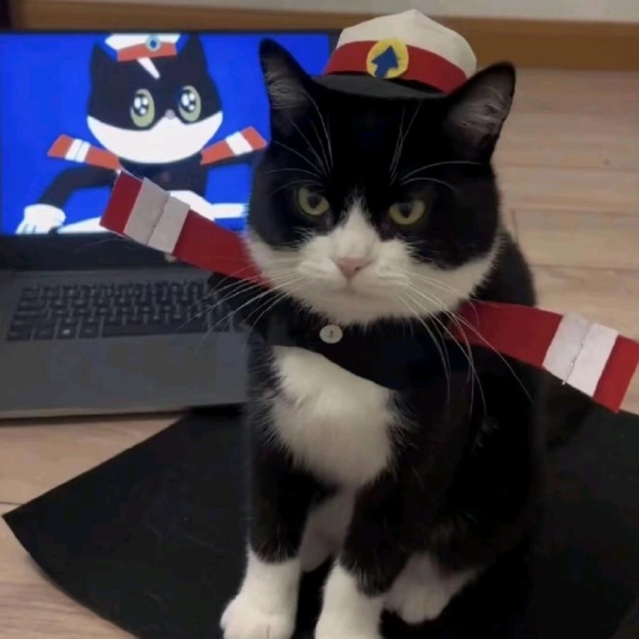 猴子偷红枣