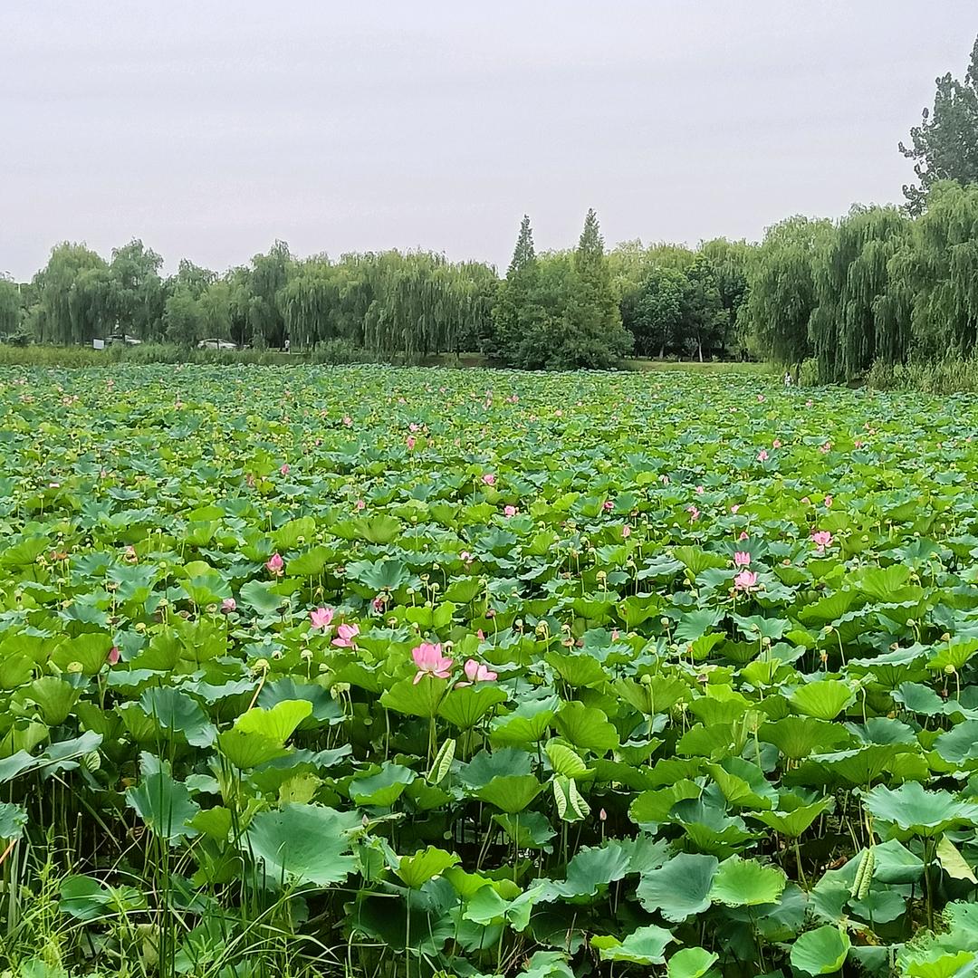 涓涓细流