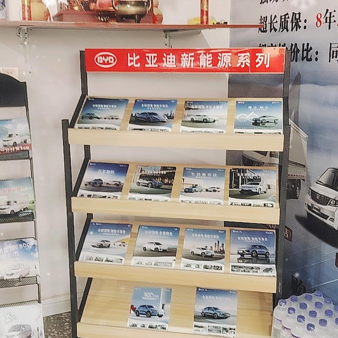 比亚迪新能源系列